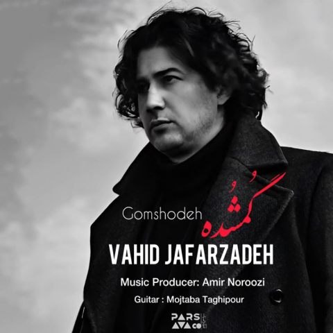 دانلود آهنگ وحید جعفرزاده به نام گمشده